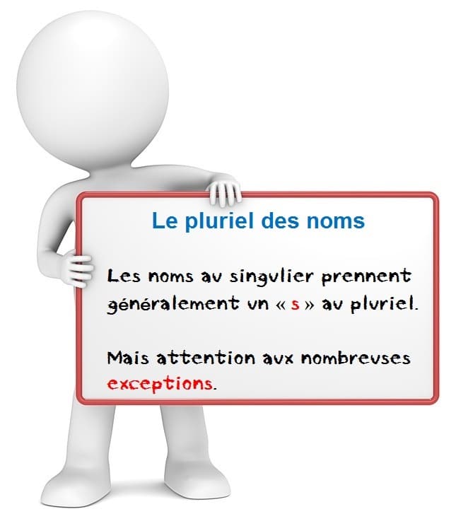 Le Pluriel Des Noms