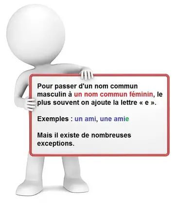 Le Feminin Des Noms Communs